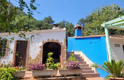 Trocito de Paraíso en la Sierra Espadán - Foto 45