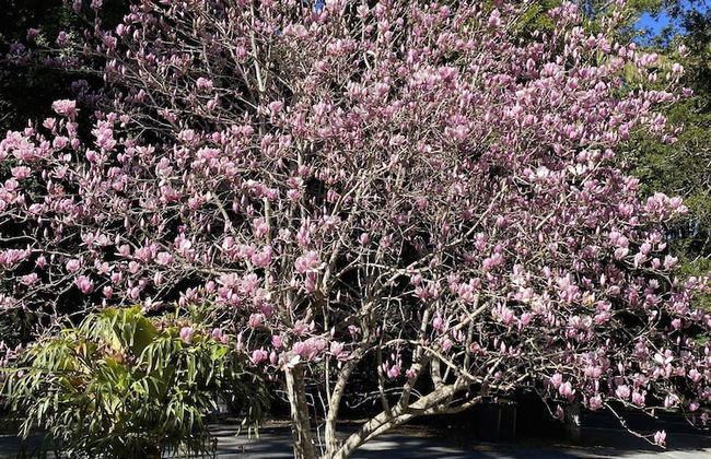 Curtis Cottage - Foto 16