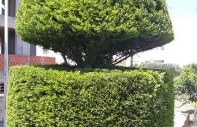 Pela Apartments - Foto 38