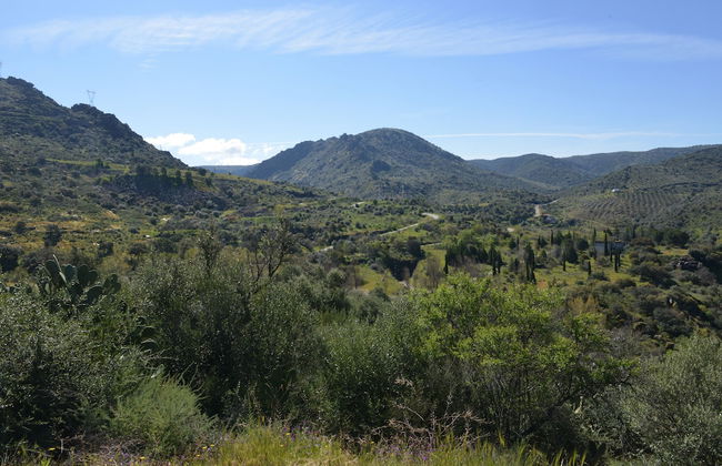 Casas Rurales Aldeaduero - Foto 70