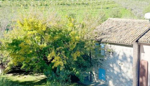 LeCannelleAgriBenessere - Foto 4