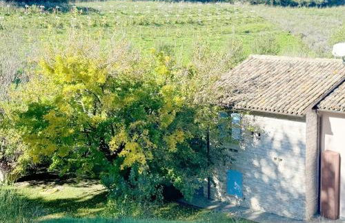 LeCannelleAgriBenessere - Foto 4