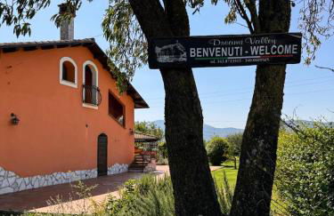 Dreams Valley - Foto 17