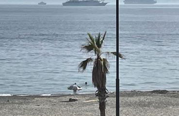 A piedi scalzi sullo Stretto 2 - Foto 57