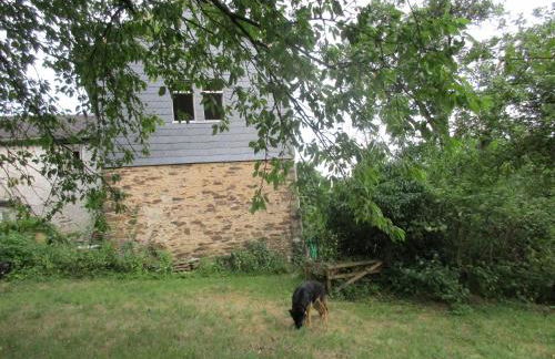 Lahnhaus Brühl/ Fende Haus - Foto 43