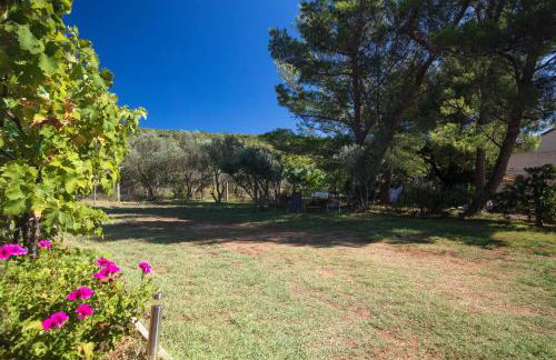 Studio Point of view - Foto 7