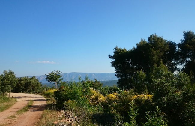 House Pod Humom - Foto 45