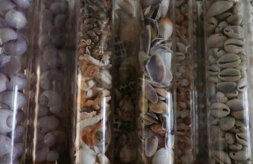 Una Conchiglia sul Mare Attico vista Portofino - Foto 27