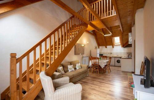 Apartamentos Onki Xin - Foto 4