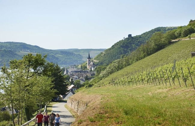 Apartment Pinot Noir - Foto 6