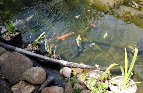 Gästehaus am Teich - Foto 32