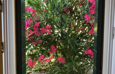 Agriturismo Terre Bianche - Foto 65