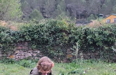 Trocito de Paraíso en la Sierra Espadán - Foto 10