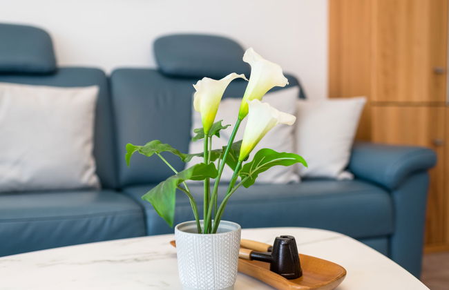 Horizont (B1014) - Foto 8