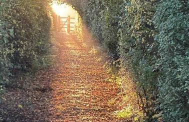 The Old Cattle Barn - Photo 22