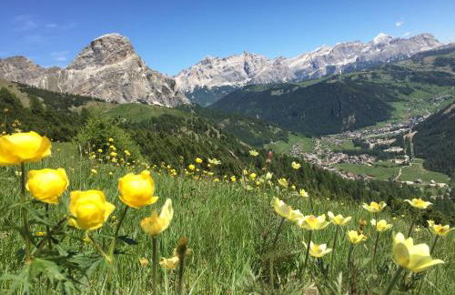 Residence Ciasa Dl Mone - Foto 10