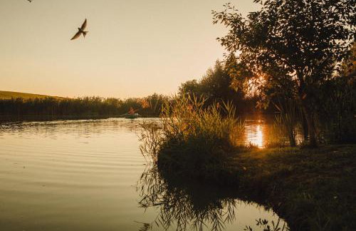 Domek nad Rozlewiskiem - Foto 10
