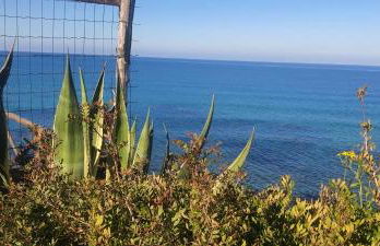 Villa Ortensia - Foto 26