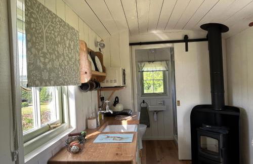 Cosy Owls Roost Hut With Private Hot Tub - Foto 78