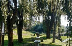 Serra da Estrela - Casa Castro - Foto 21