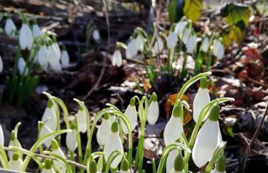 Odenwald Lounge im Naturpark Bergstraße-Odenwald - Photo 19