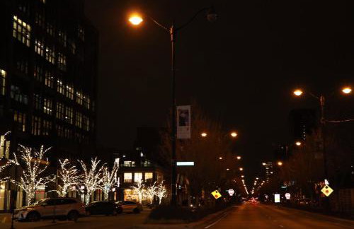 Chicago Exquisite Haven 2bed 2bath Near Downtown and United Center - Foto 26