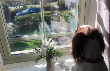 River Cottage - Foto 19