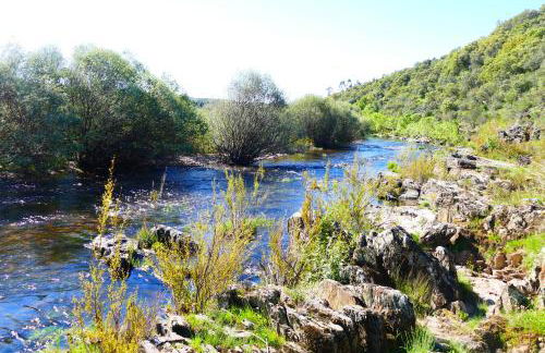 Herdade Clube Tiro Monfortinho - Foto 53