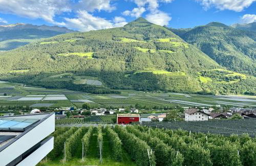 Appartment Sofia Fischerhaus - Foto 50