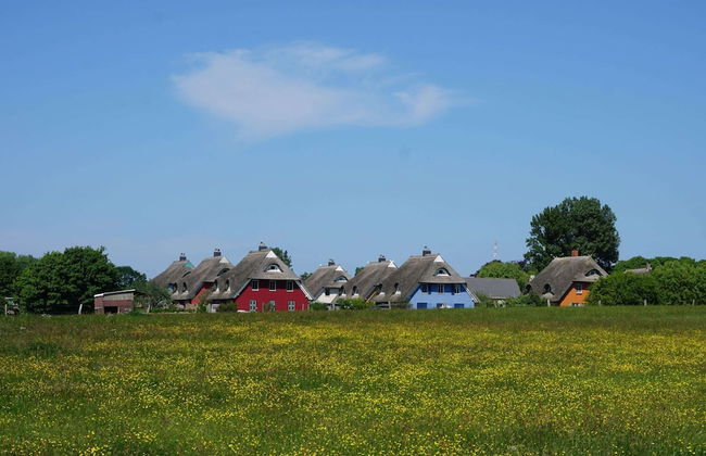 Geraeumige Ferienwohnung mit Garten - Foto 12