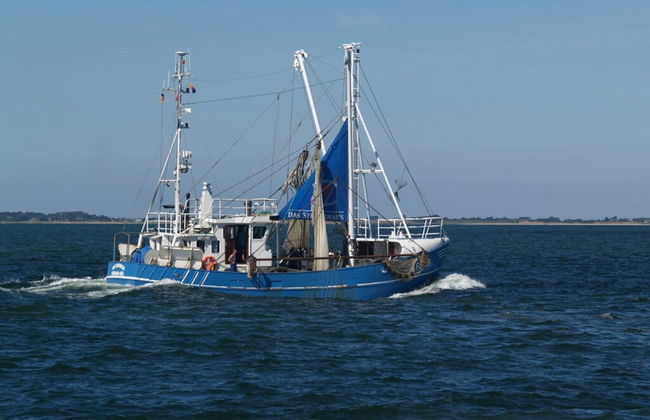 Holiday Apartment Strandkrabbe - Photo 19