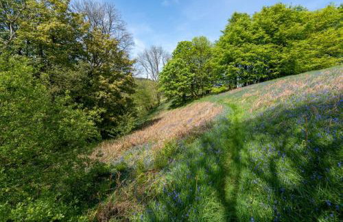 Brynarth Country Cottages - Foto 80