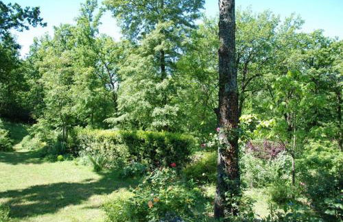 Agriturismo Poggio Alle Lame - Foto 52