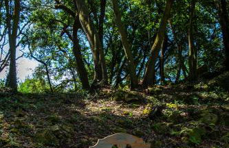 VIBE LUXURY CABINS - Foto 36