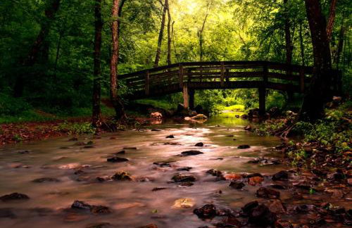 Romantic 1BR Cabin w Hot Tub Near Carbondale - Foto 35