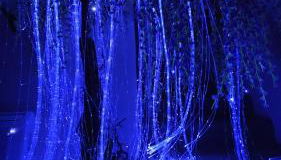 La Suite Pandora - Escape Game I SPA I Sauna - Foto 4