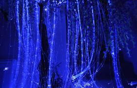 La Suite Pandora - Escape Game I SPA I Sauna - Foto 4