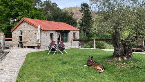 Da man da Moura - Foto 2