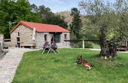 Da man da Moura - Foto 2