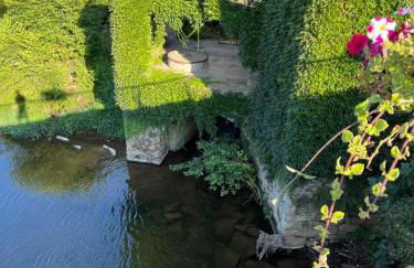 Gîte Ô Nature - Foto 72