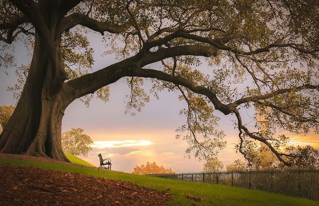Waterview Terrace in Historic Rocks - Photo 20