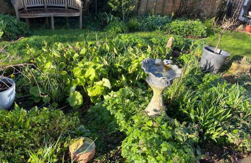 Little Hawthorns - Foto 8