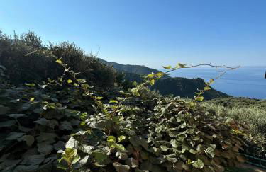 Ca' dii Bürsa 2 - HOMY 5 TERRE - Foto 8