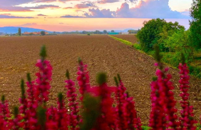 Apartment in Umbria With Pool and Sauna - Foto 31