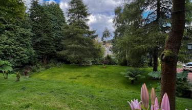 Ivybank Villa - Foto 2