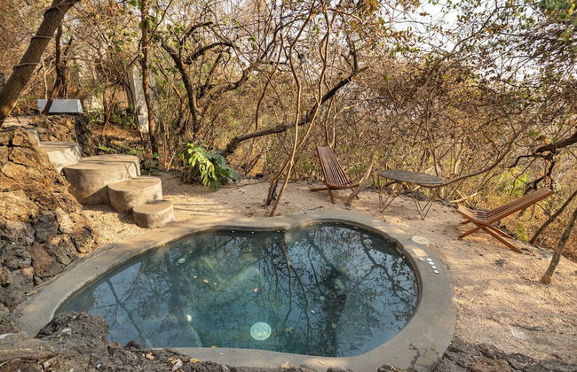 Bosque Geométrico - Foto 79