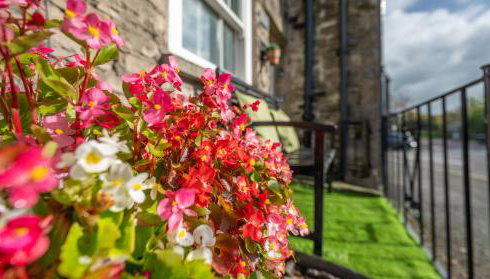 Wee Toad Hole Heart of Kendal - Cottage sleeps 4-6 - Dogs Welcome - Foto 2