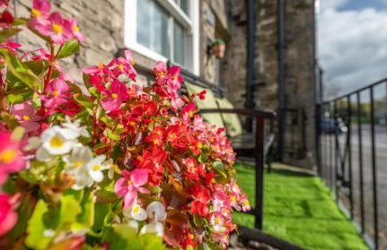 Wee Toad Hole Heart of Kendal - Cottage sleeps 4-6 - Dogs Welcome - Foto 2
