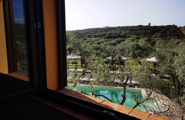 la corte degli ulivi - Foto 44