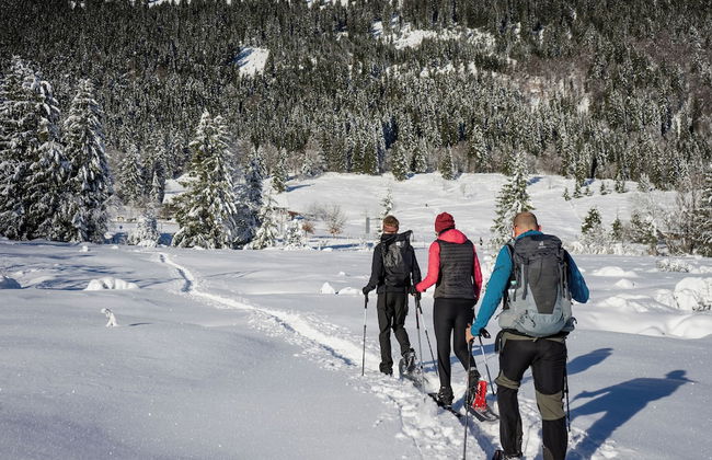 Alpin Lodges - Photo 37